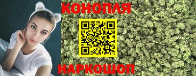 не бодяженный Сланцы