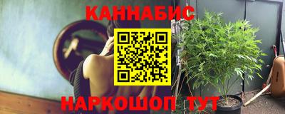 не бодяженный Сланцы