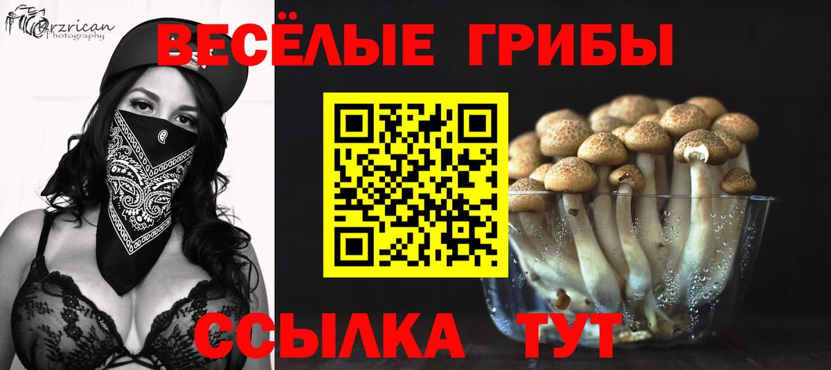 Орёл  Псилоцибиновые грибы GOLDEN TEACHER  закладки  Галлюциногенные грибы MAGIC MUSHROOMS  Вход с VPN 
